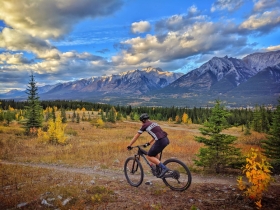 Half and Full Day Mountain Bike Tours