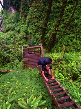 Ladder on the West Coast Trail