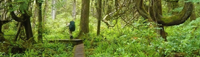 West Coast Trail