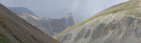 Willmore Trek