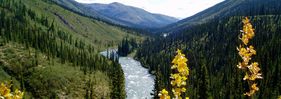 Upper Stikine River