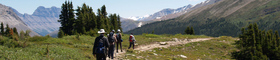 Wilderness Trek - Canada